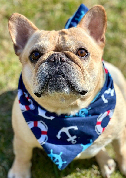 Nautical Dog Bandana New Arrivals on dog — dog bandana close-up | Cutie Paw Co.