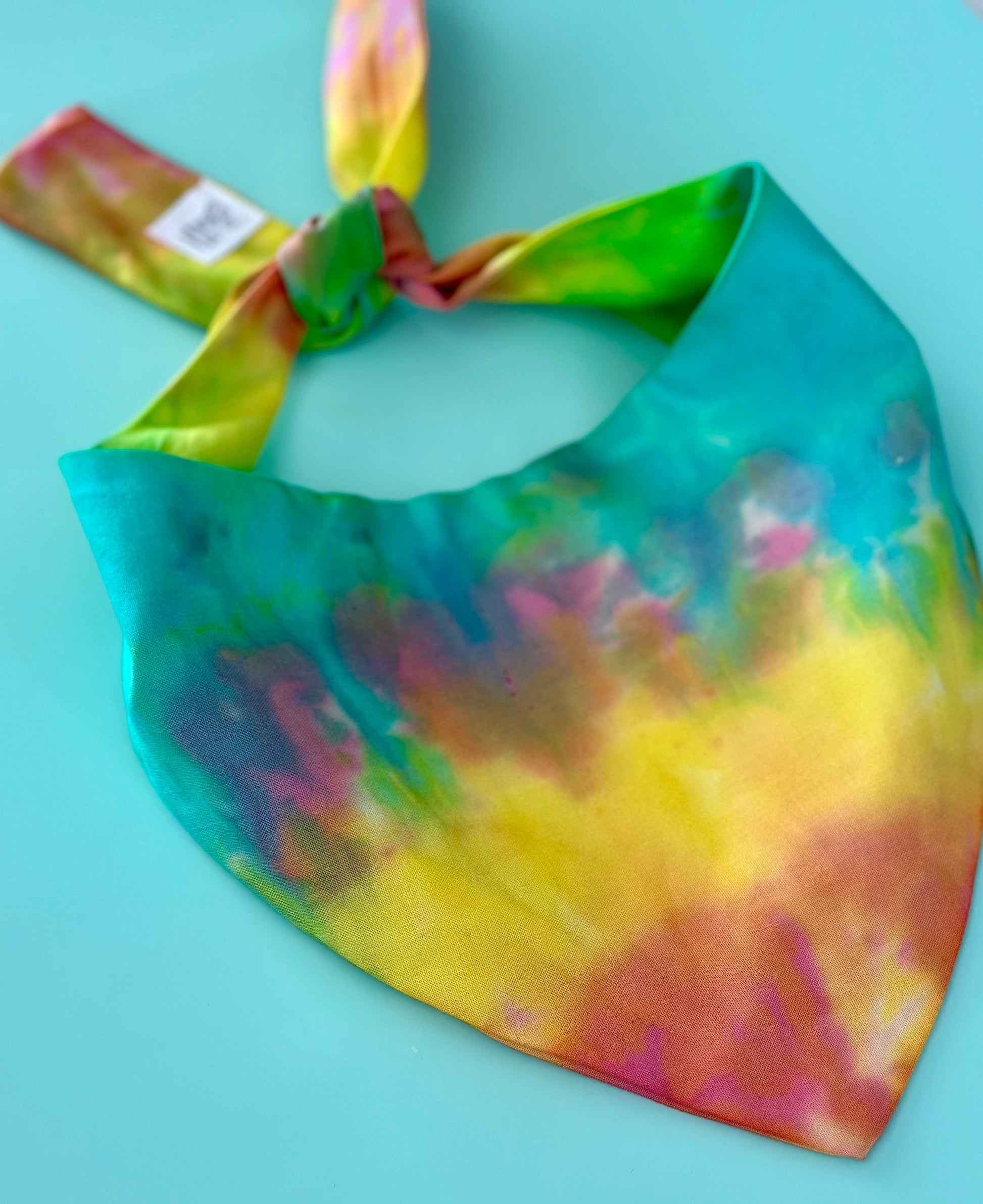 Tie Dye Dog Bandana on dog — dog bandana close-up | Cutie Paw Co.