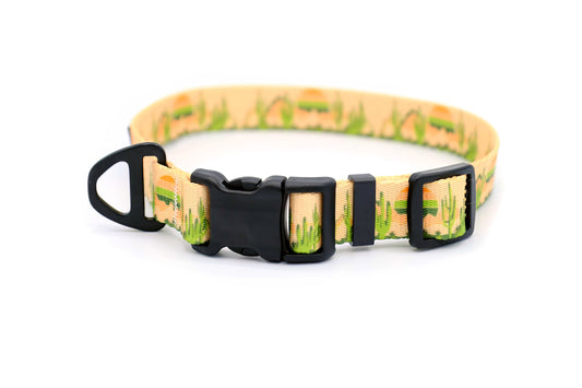 Outdoor Style Cactus Cream Nylon Dog Collar | Cutie Paw Co.