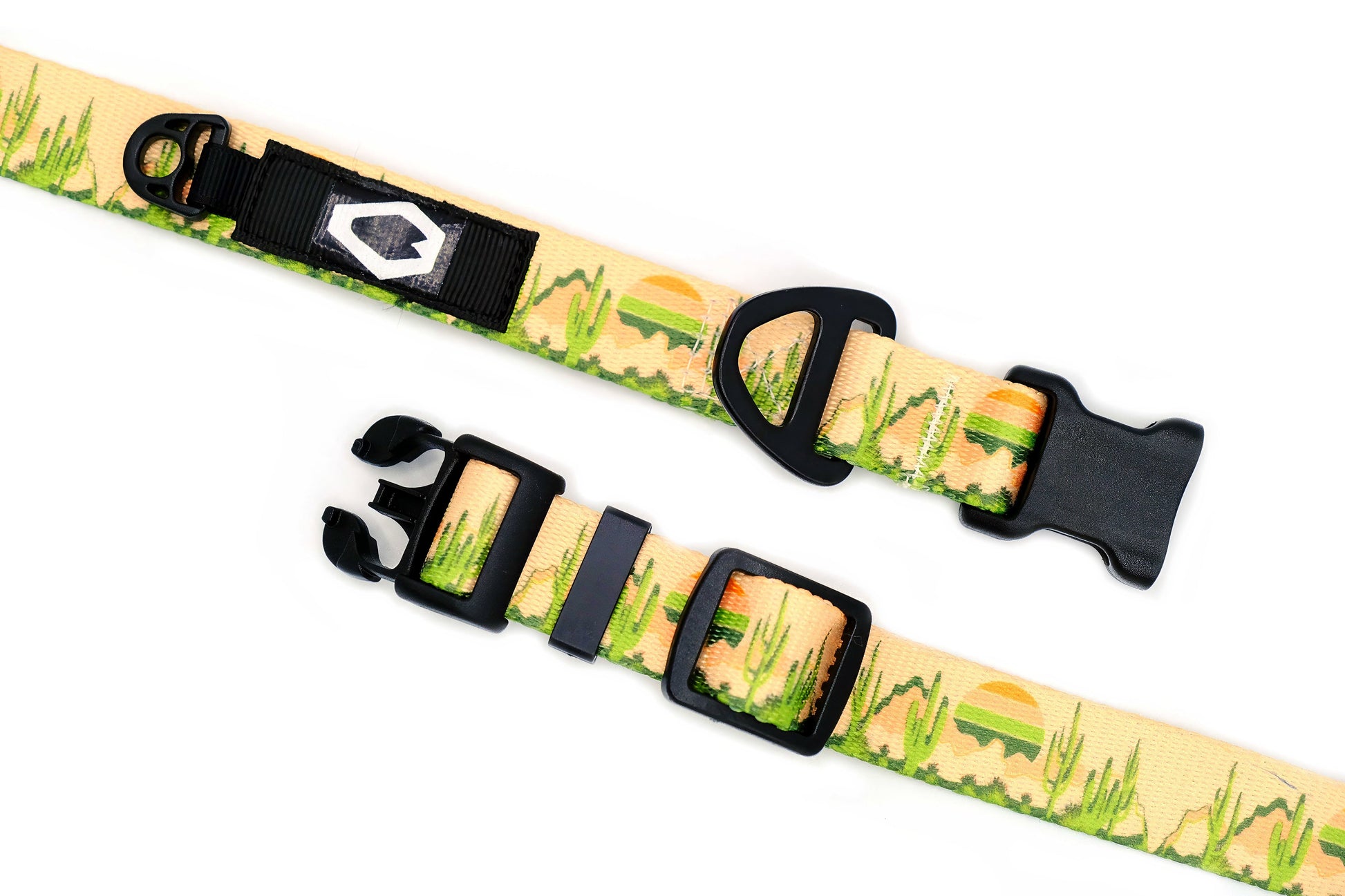 Outdoor Style Cactus Cream Nylon Dog Collar on dog — dog collar close-up | Cutie Paw Co.