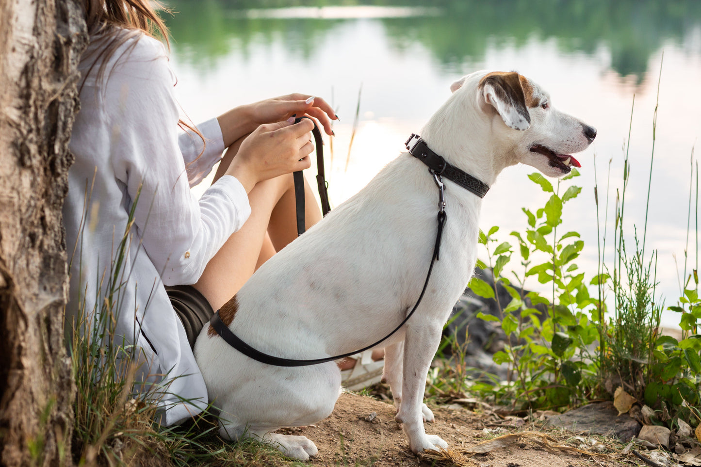 Celtic Midnight Black Leather Dog Collar