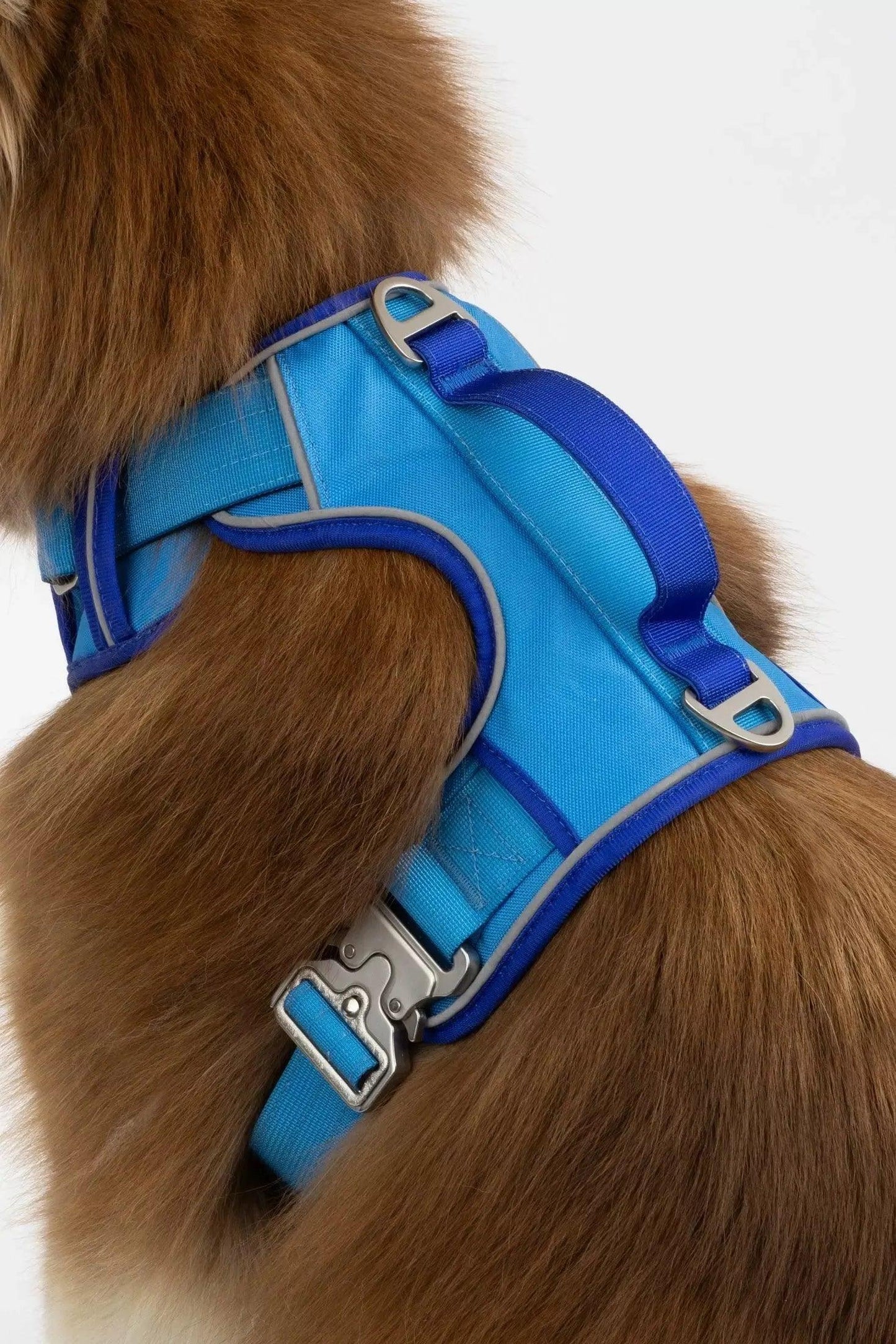 Dockside Adventures Ultimate Harness | Cutie Paw Co.