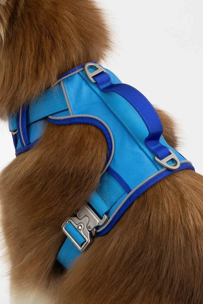 Dockside Adventures Ultimate Harness | Cutie Paw Co.