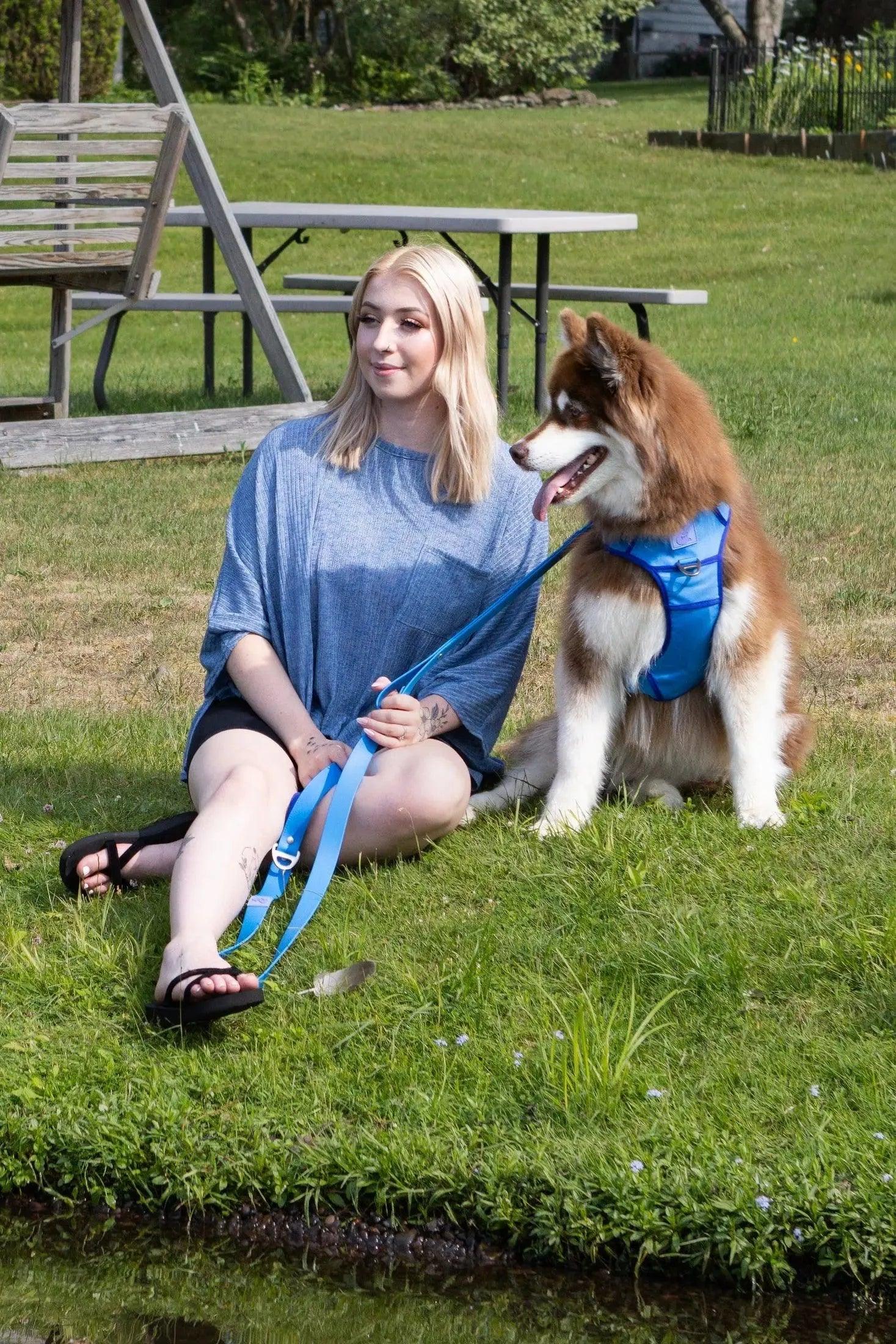 Dockside Adventures Ultimate Harness detail view | Cutie Paw Co.