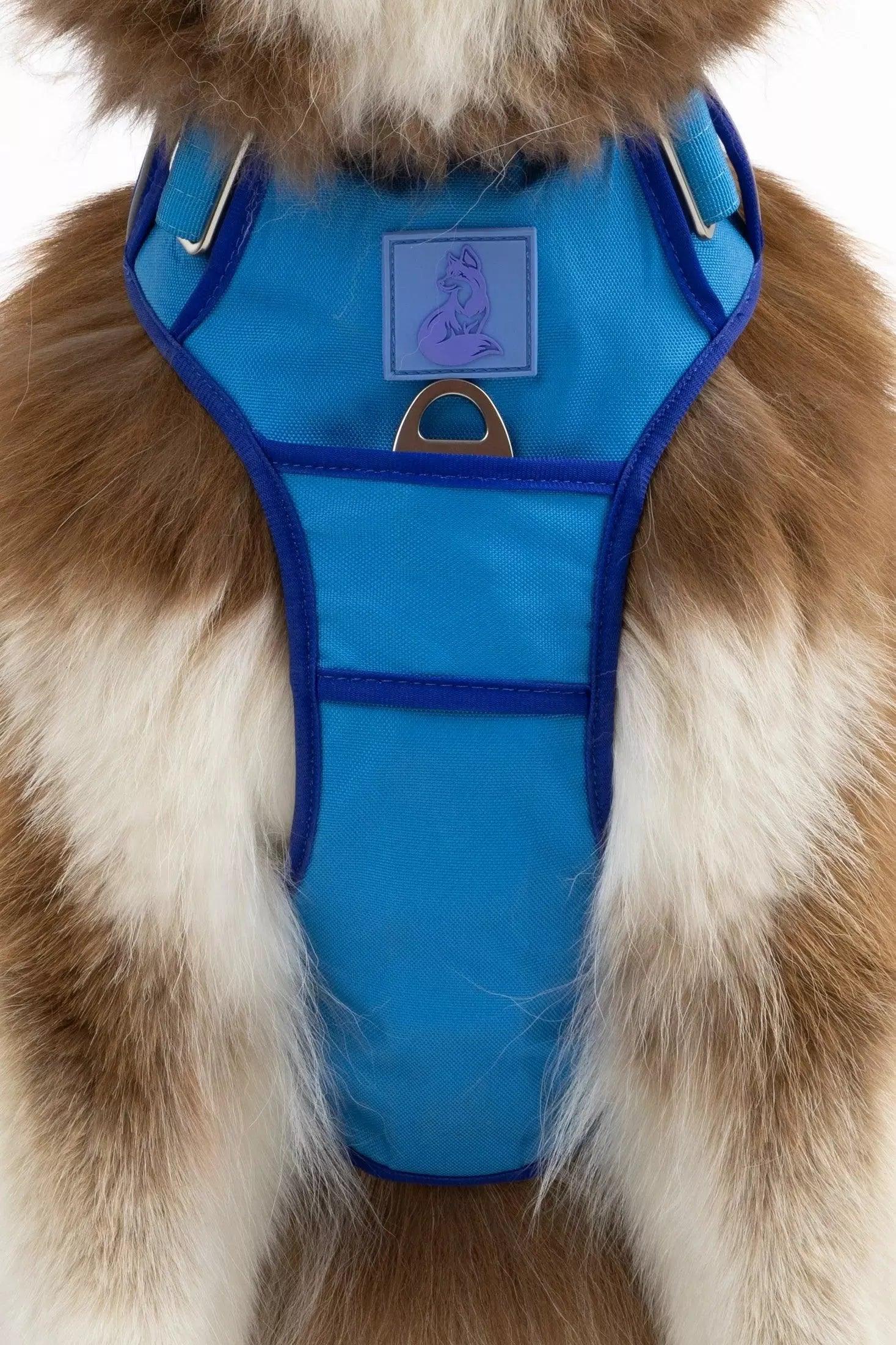 Dockside Adventures Ultimate Harness detail view | Cutie Paw Co.