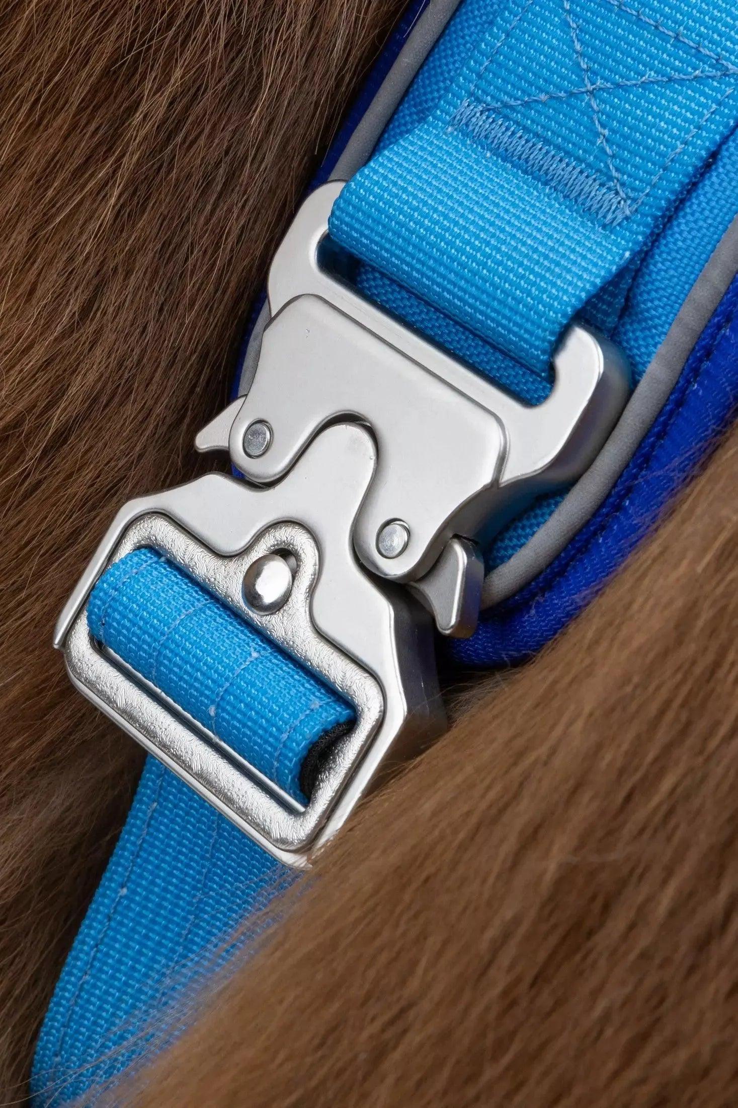 Dockside Adventures Ultimate Harness detail view | Cutie Paw Co.