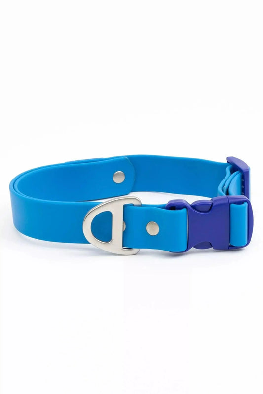 Dockside Adventures Waterproof Dog Collar | Cutie Paw Co.