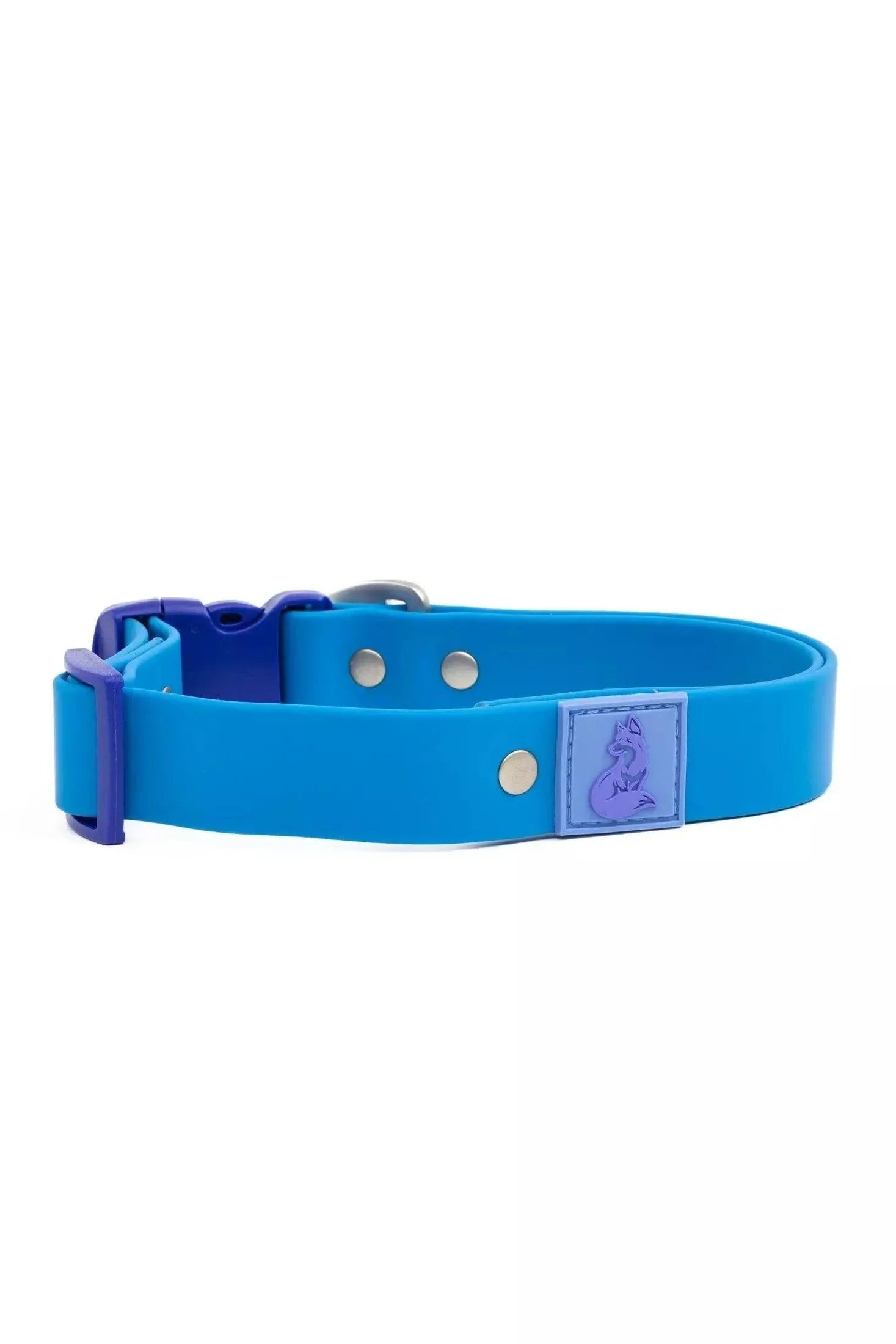 Dockside Adventures Waterproof Dog Collar detail view | Cutie Paw Co.