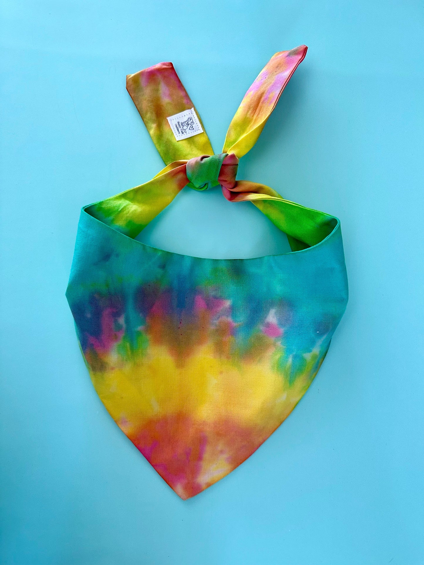 Tie Dye Dog Bandana | Cutie Paw Co.