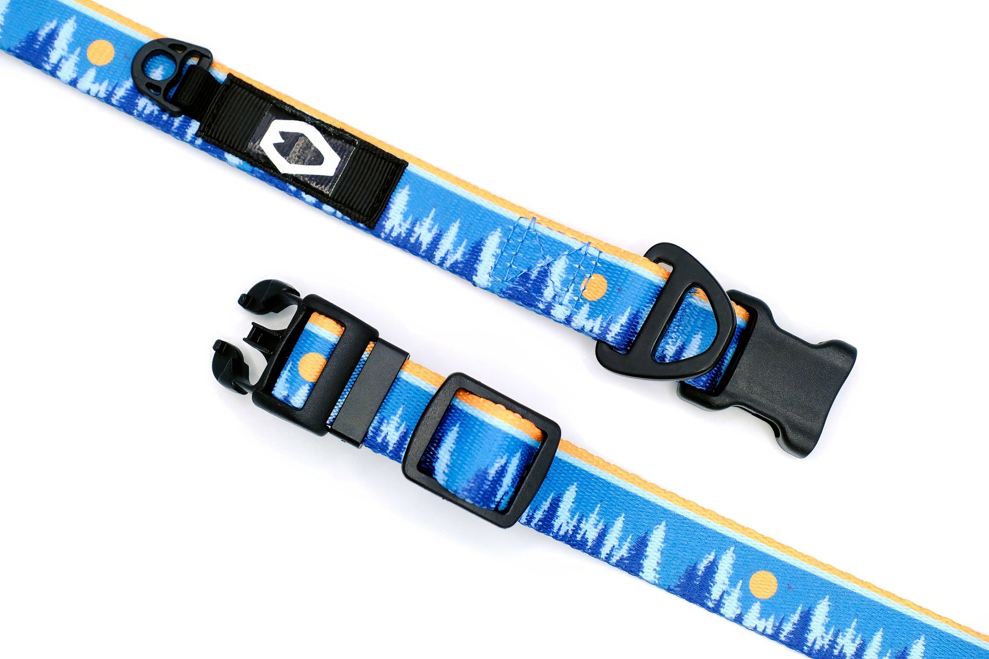 Frozen Forest Nylon Dog Collar on dog — dog collar close-up | Cutie Paw Co.