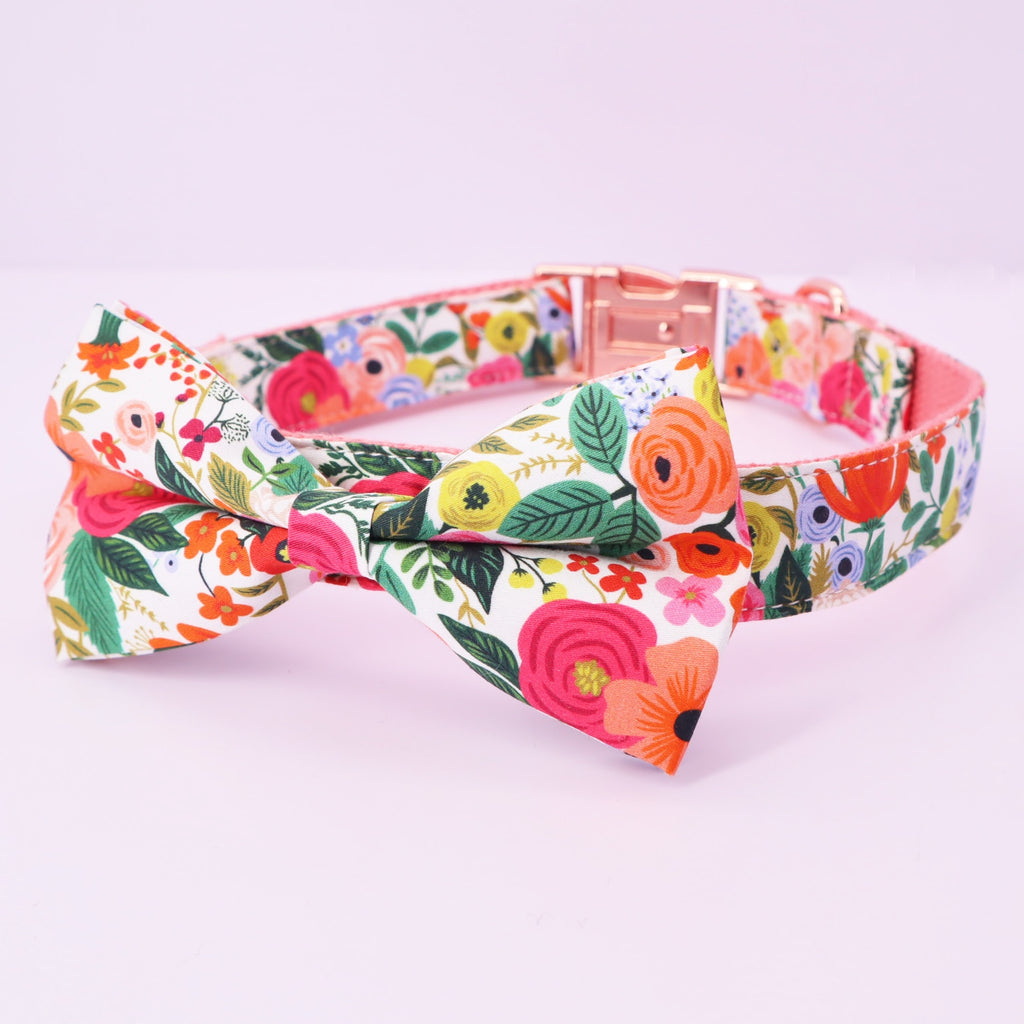 Bright Day Collar and Leash Set