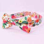 Bright Day Collar and Leash Set