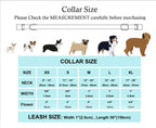 Barbie Collar and Leash Set