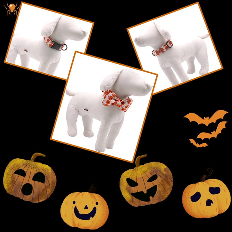 Happy Pumpkin Collar and Leash