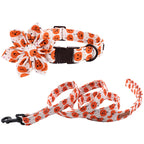 Happy Pumpkin Collar and Leash