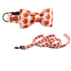 Happy Pumpkin Collar and Leash