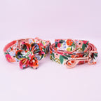 Bright Day Collar and Leash Set