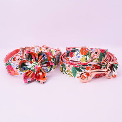 Bright Day Collar and Leash Set