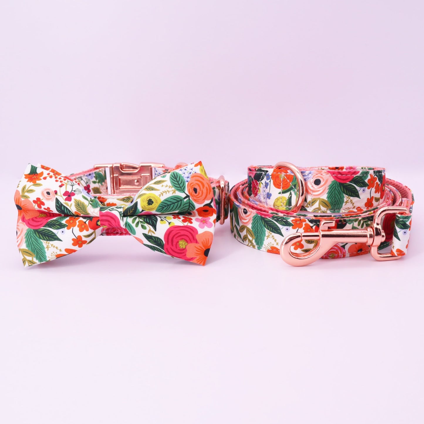 Bright Day Collar and Leash Set