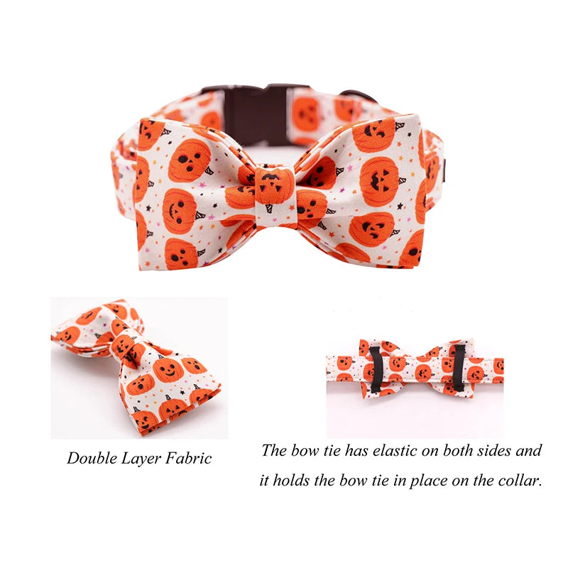 Happy Pumpkin Collar and Leash