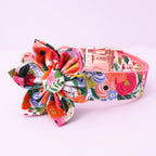 Bright Day Collar and Leash Set
