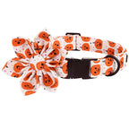 Happy Pumpkin Collar and Leash