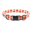 Happy Pumpkin Collar and Leash