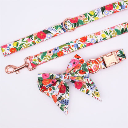 Bright Day Collar and Leash Set