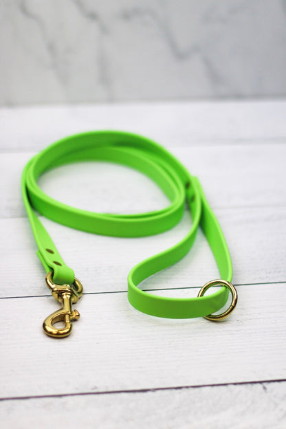 Key Lime Biothane Leash