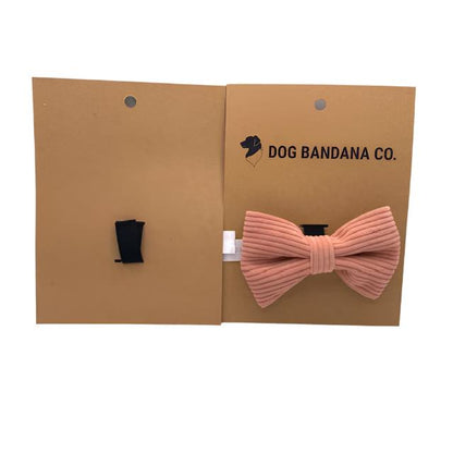 Corduroy Pet Bow Tie on dog — pet accessory close-up | Cutie Paw Co.