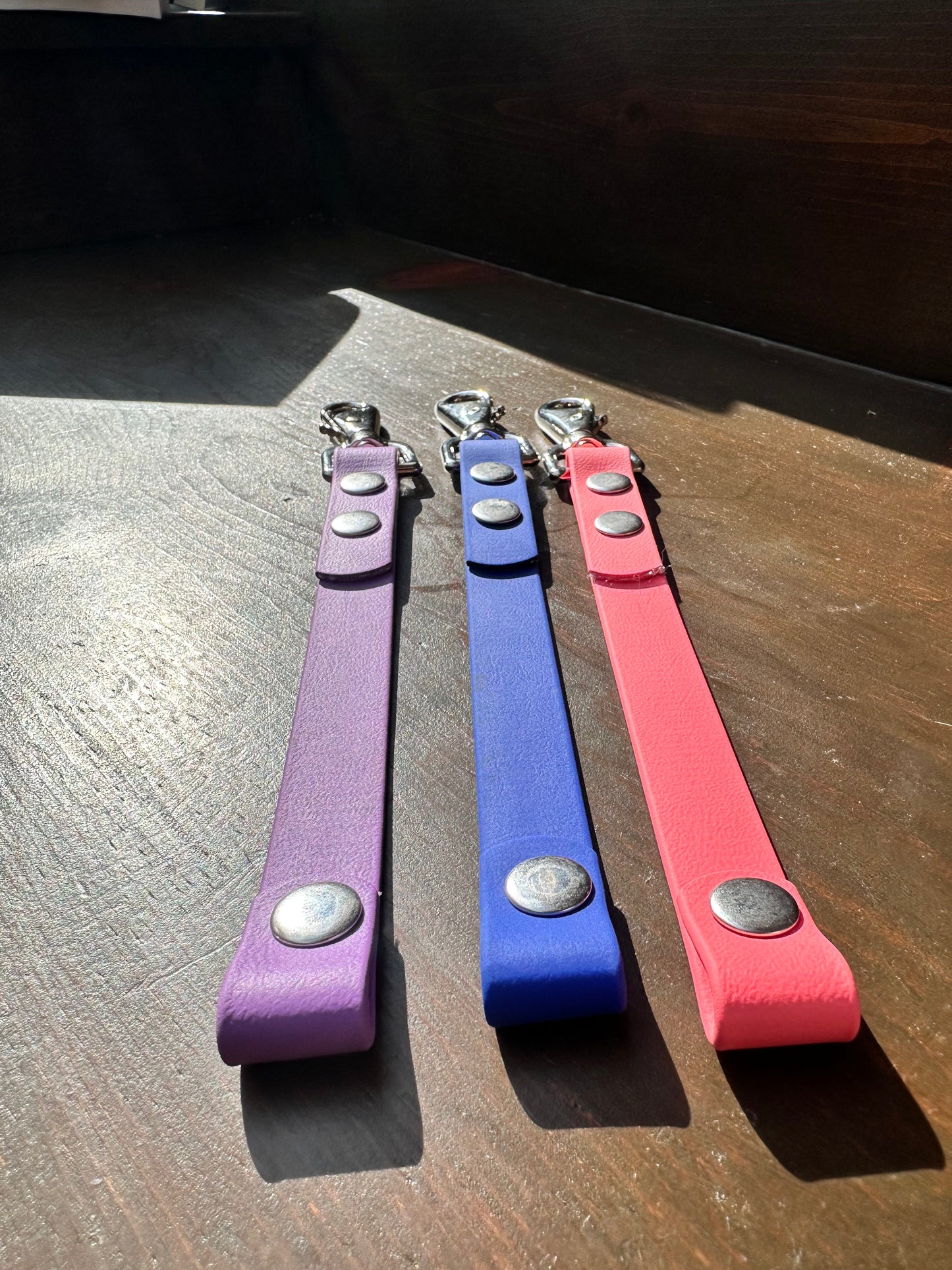 Training Tab on dog — pet accessory close-up | Cutie Paw Co.