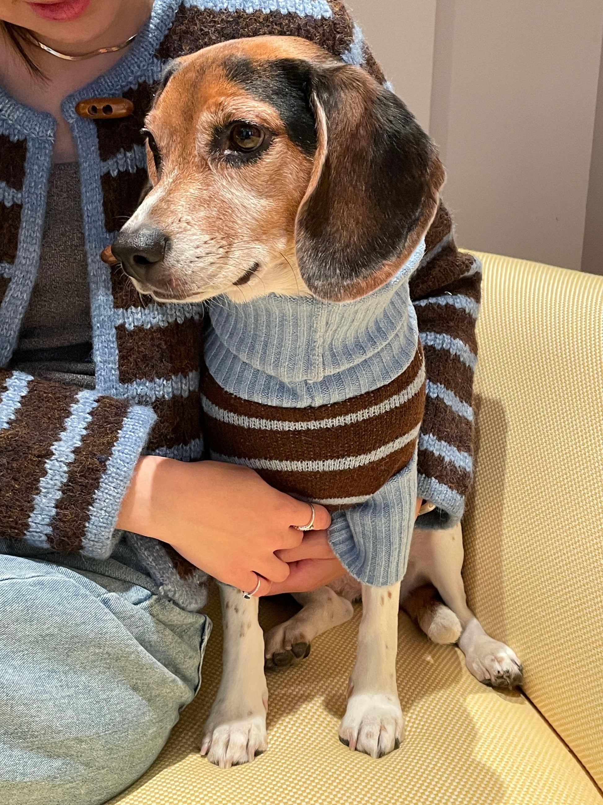 Bluebell Stripes Sweater detail view | Cutie Paw Co.