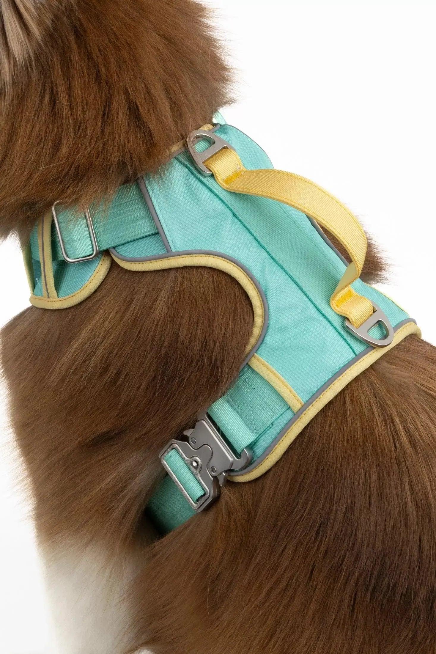 Island Vibes Ultimate Dog Harness on dog — dog harness close-up | Cutie Paw Co.