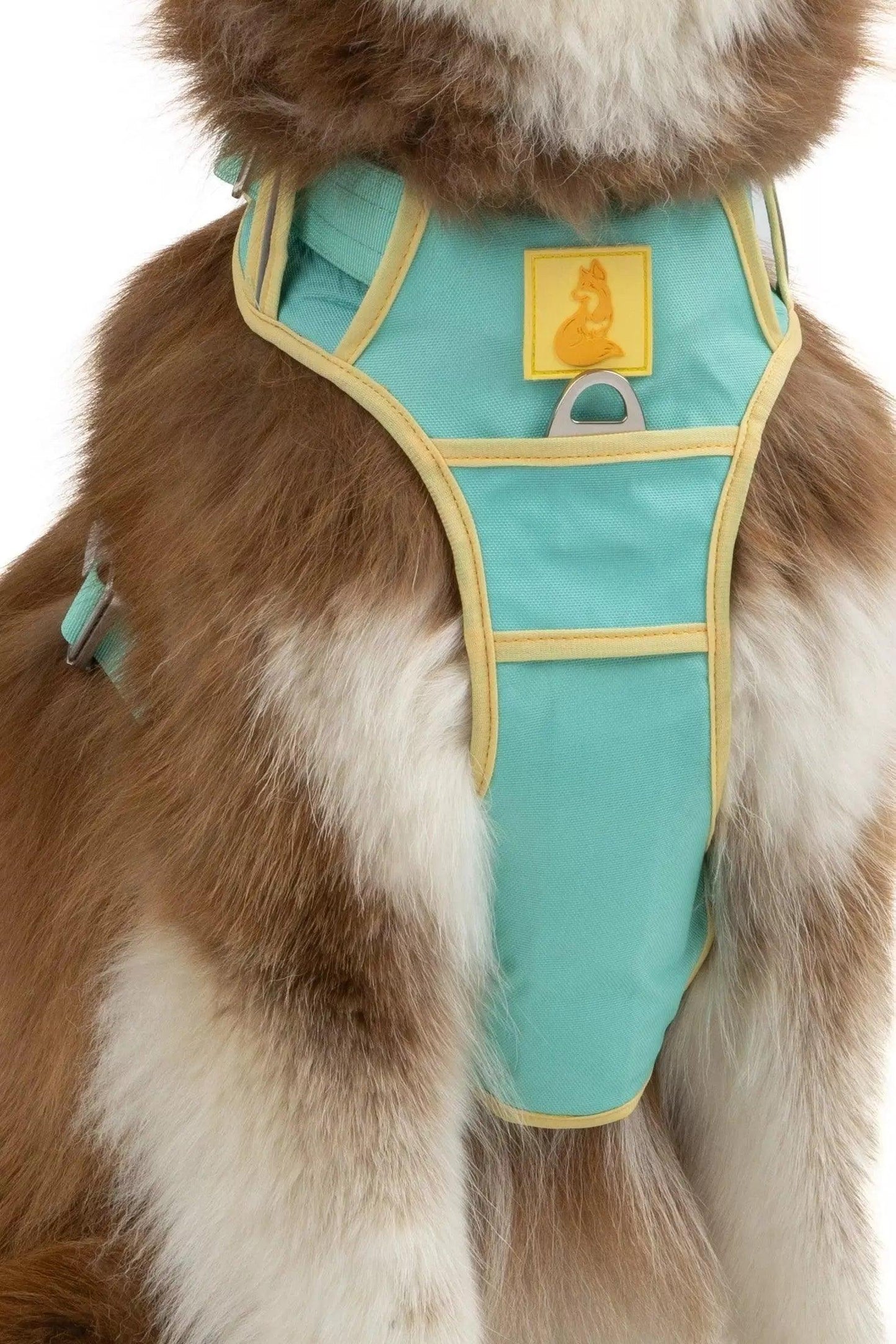 Island Vibes Ultimate Dog Harness detail view | Cutie Paw Co.