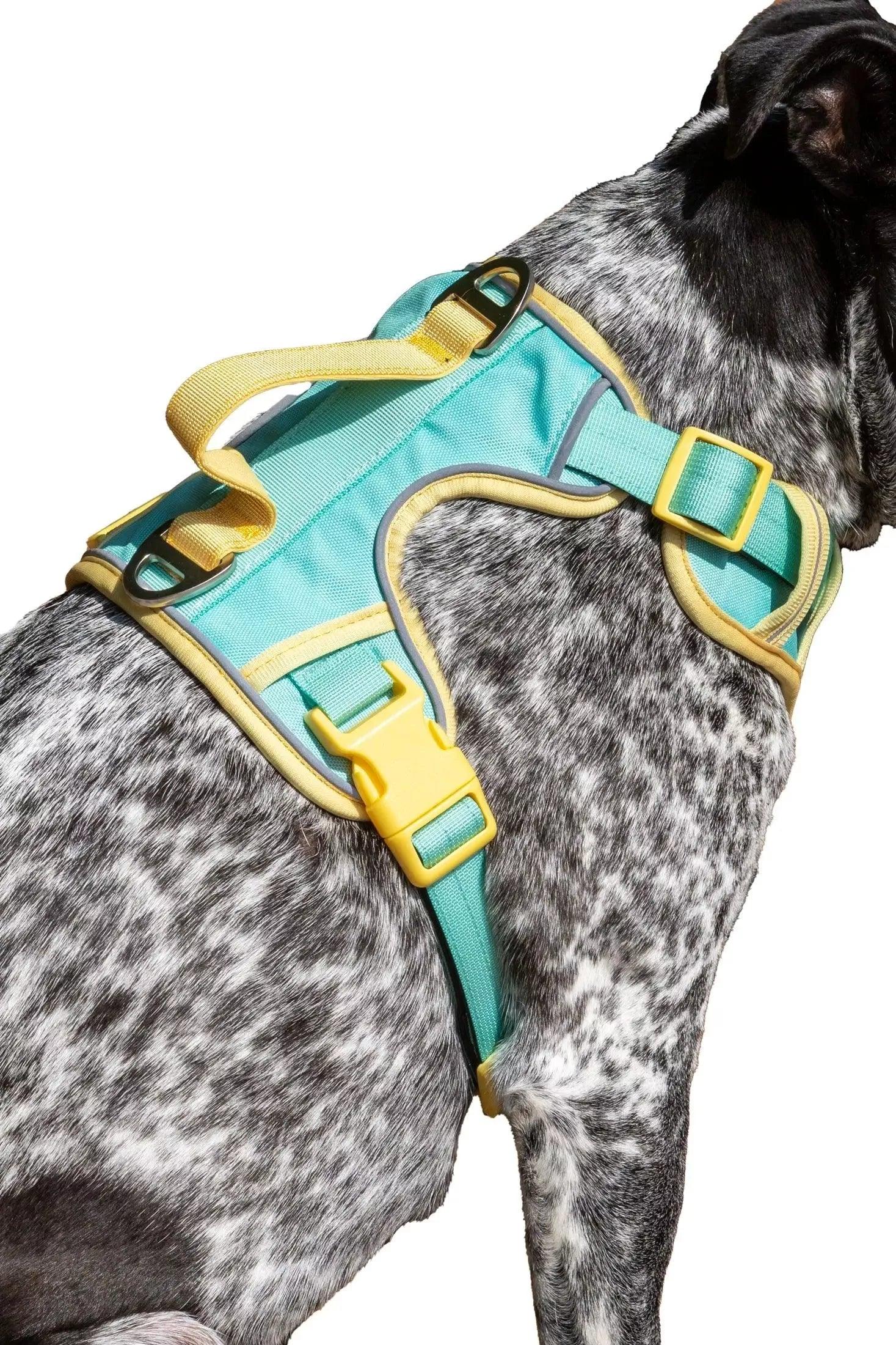 Island Vibes Ultimate Dog Harness | Cutie Paw Co.