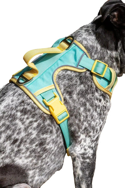 Island Vibes Ultimate Dog Harness | Cutie Paw Co.