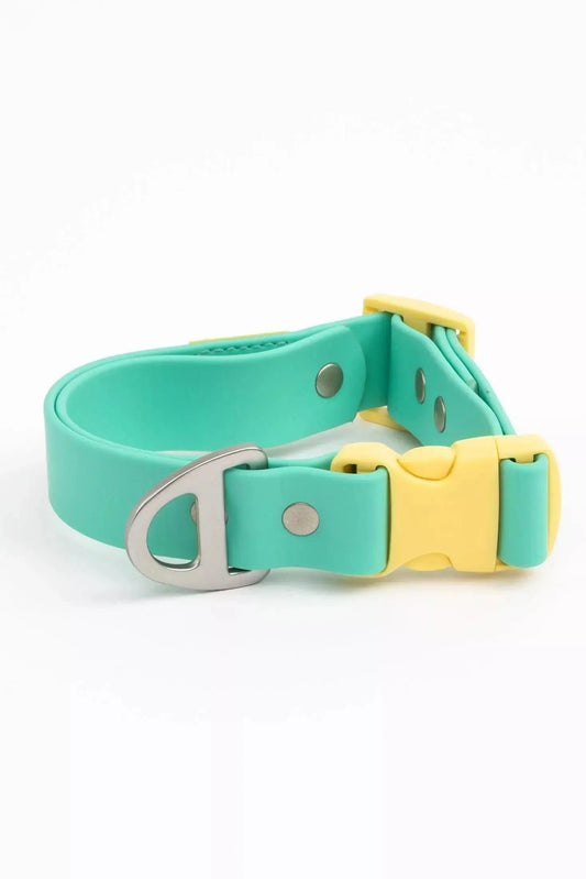 Island Vibes Waterproof Dog Collar | Cutie Paw Co.