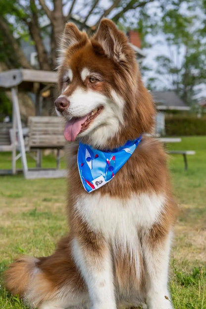 K9 Kayak Dog Bandana & Matching Keychain detail view | Cutie Paw Co.