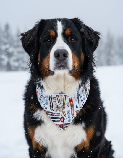 Skiing Dog Bandana