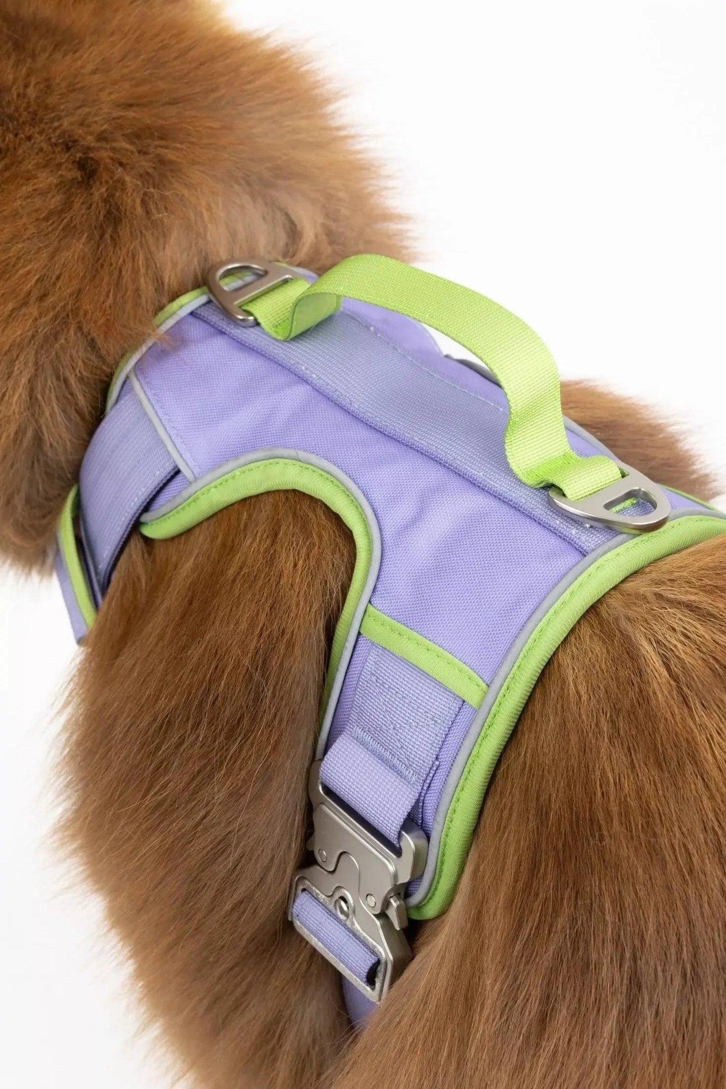 Lavender Garden Ultimate Dog Harness | Cutie Paw Co.