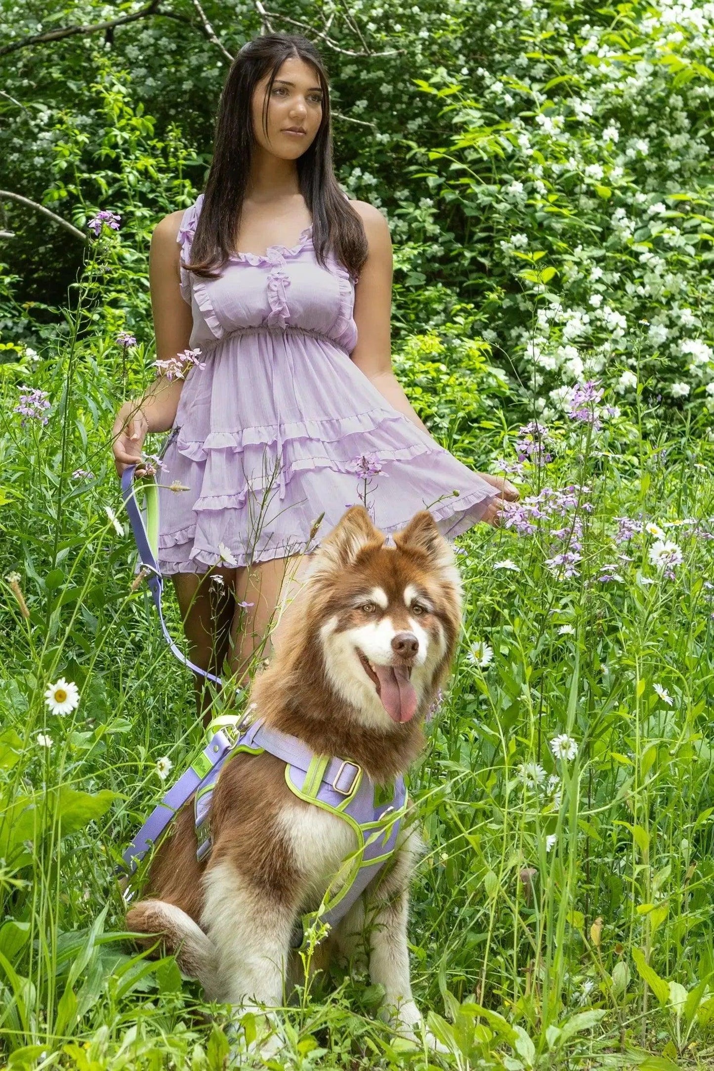Lavender Garden Ultimate Dog Harness detail view | Cutie Paw Co.