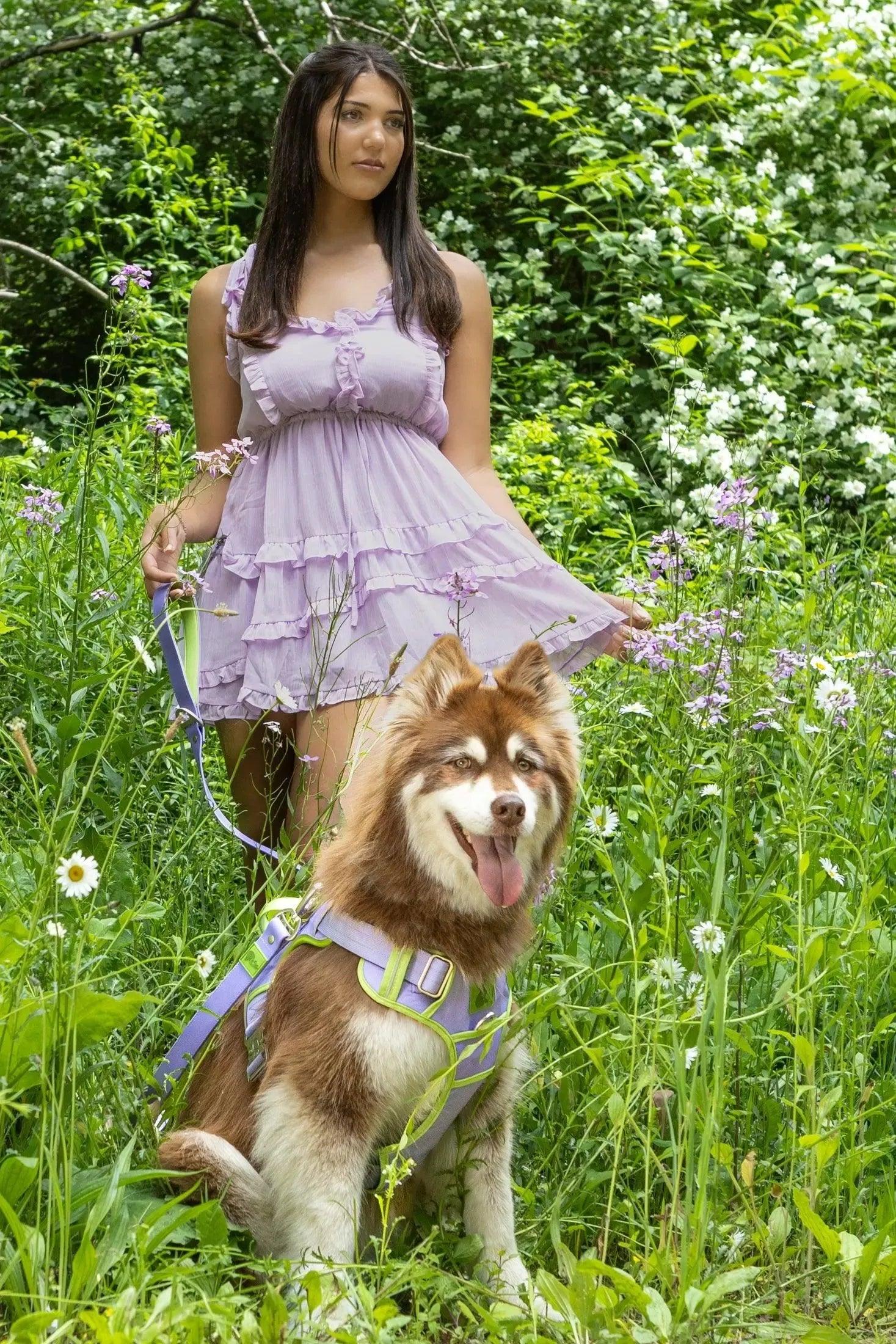 Lavender Garden Ultimate Dog Harness detail view | Cutie Paw Co.
