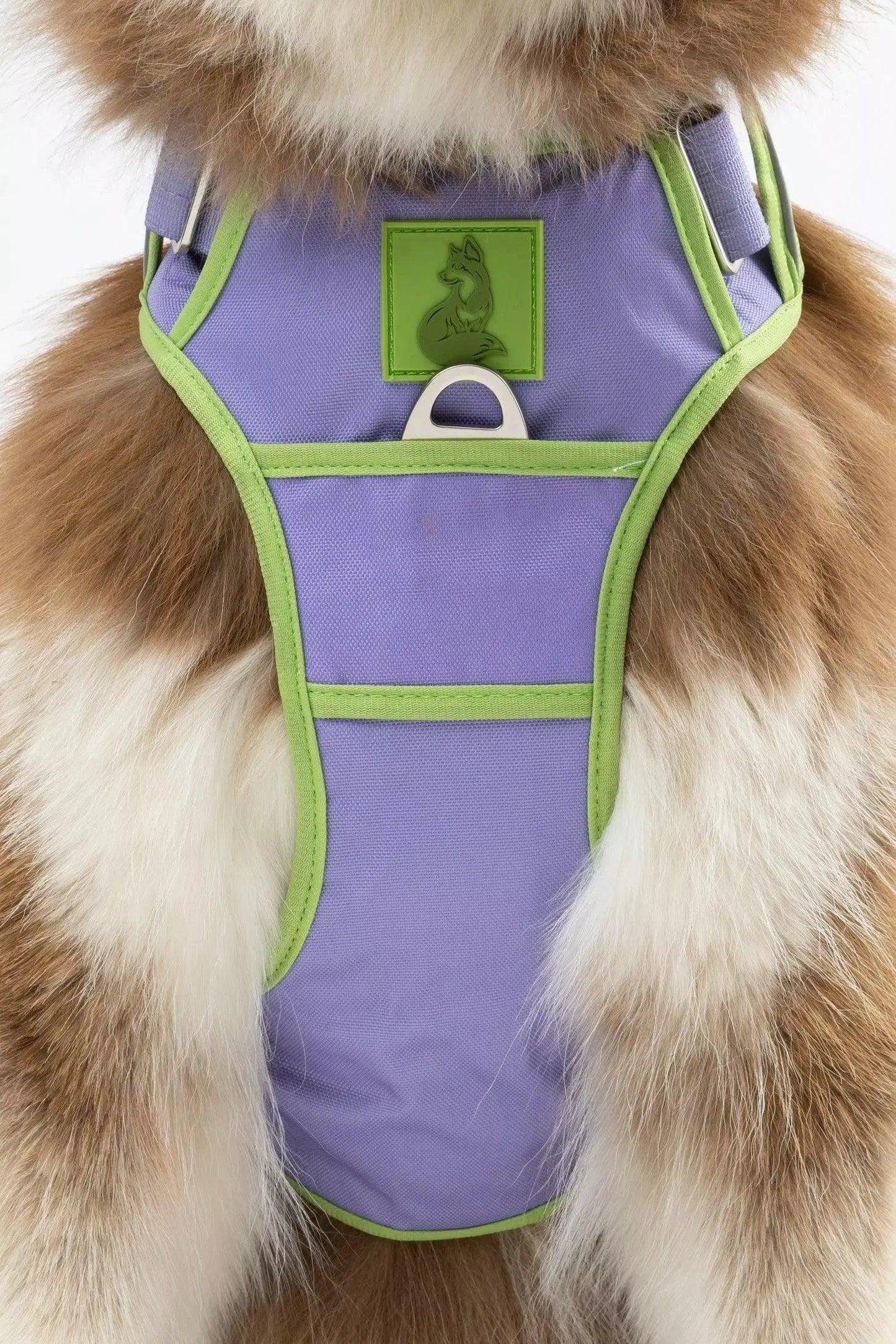 Lavender Garden Ultimate Dog Harness detail view | Cutie Paw Co.