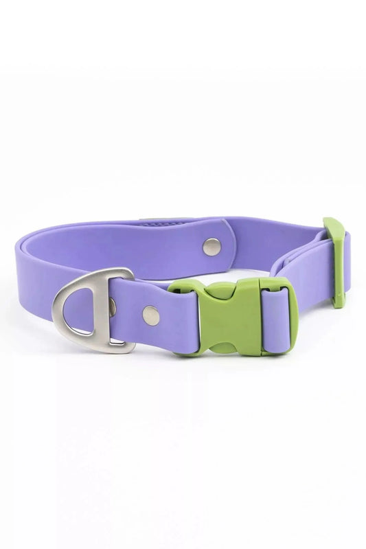 Lavender Garden Waterproof Dog Collar | Cutie Paw Co.