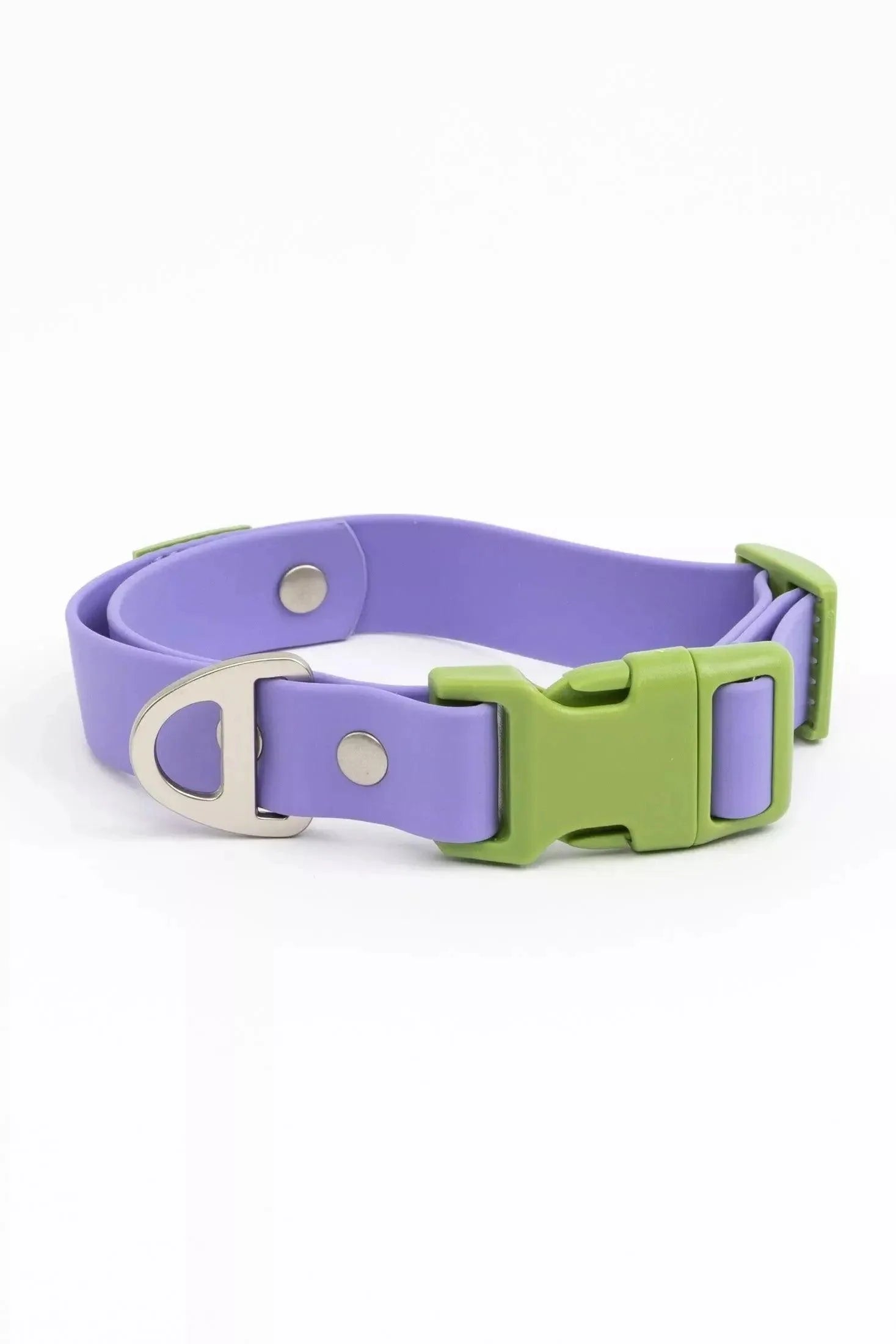 Lavender Garden Waterproof Dog Collar detail view | Cutie Paw Co.
