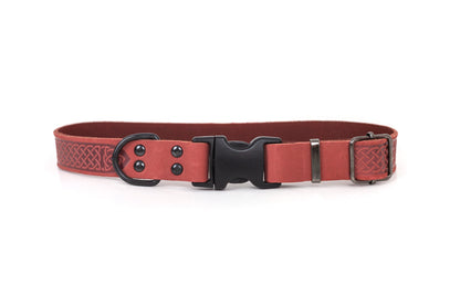 Celtic Coral Reef Leather Dog Collar