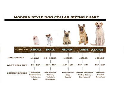 Modern Style Quick detail view | Cutie Paw Co.