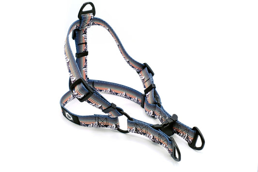 Mountain Sunset Step-In Dog Harness