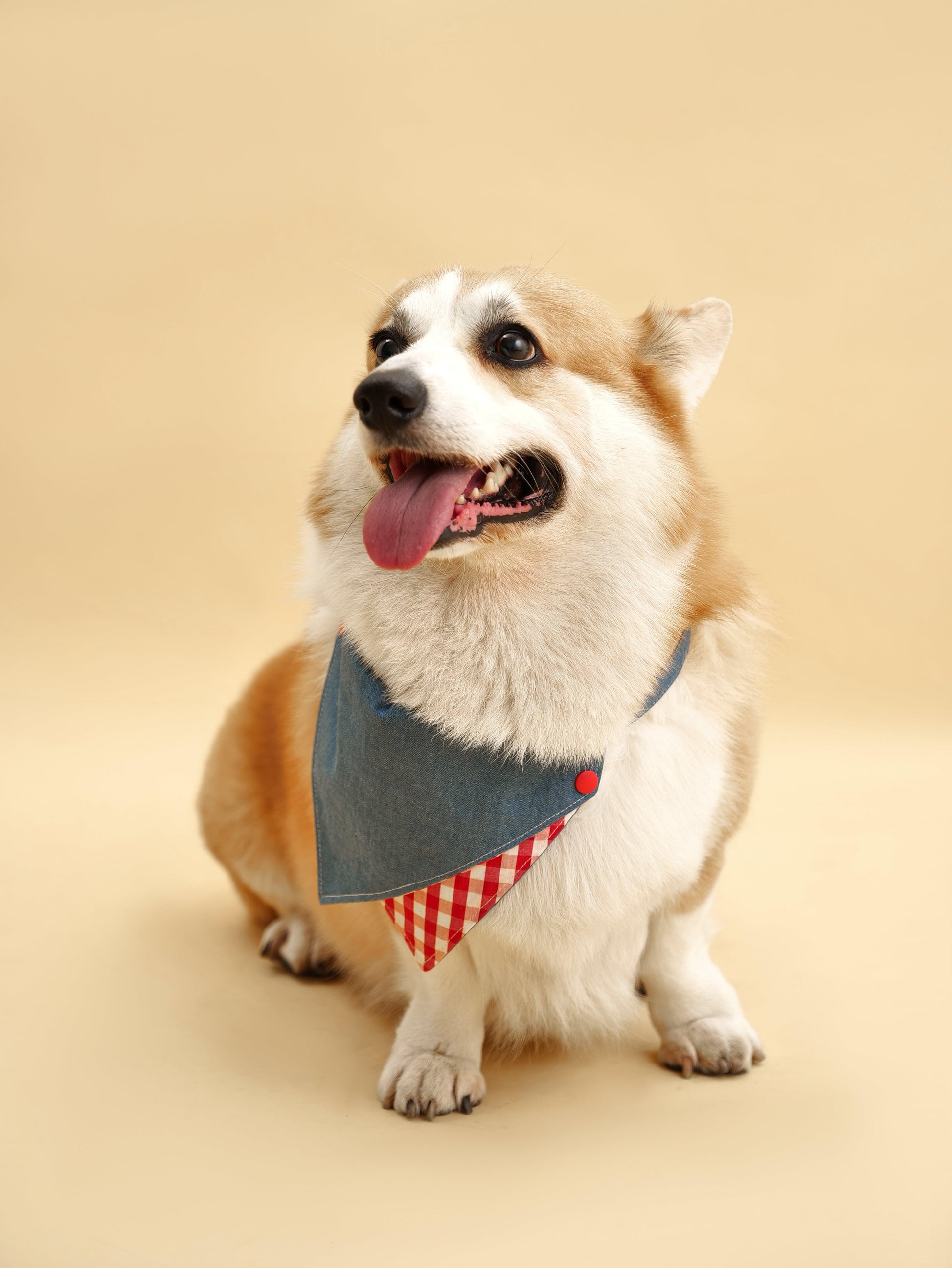 Park Day Denim Gingham Print Handmade Bandana detail view | Cutie Paw Co.