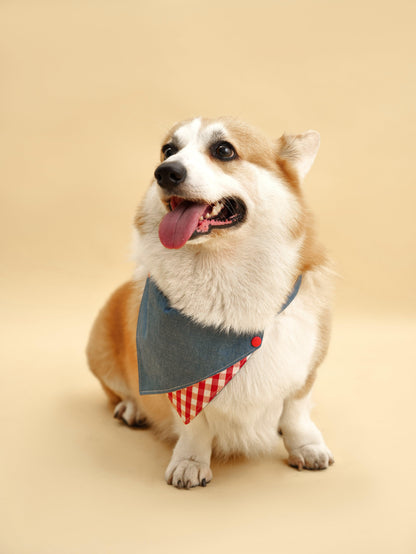 Park Day Denim Gingham Print Handmade Bandana detail view | Cutie Paw Co.